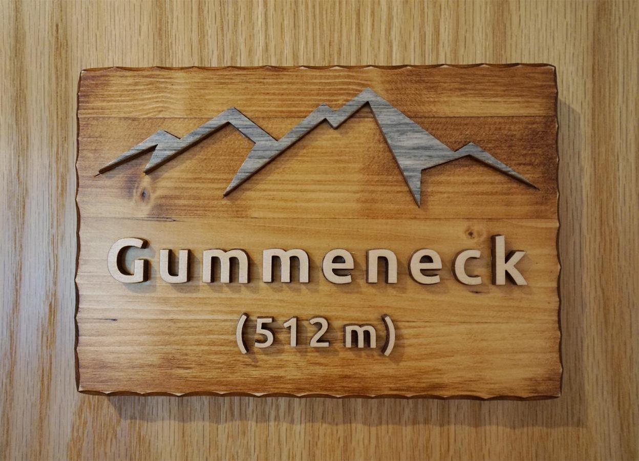 Gummeneck - Stubenhof, Black Forest Simonswald Exteriör bild